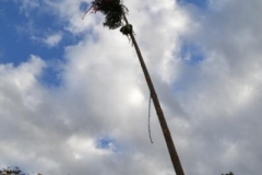 Harheimer_Kerb_2012_0037