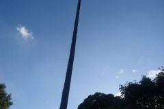 Harheimer-Kerb-2017173