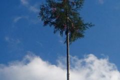 Harheimer-Kerb-2017174