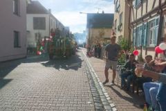 Harheimer-Kerb-2017212