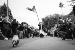 Harheimer_Kerb_2019_0019-1