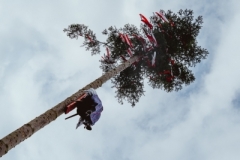 Harheimer_Kerb_2019_0115