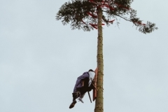 Harheimer_Kerb_2019_0139