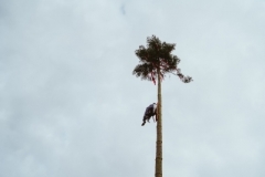Harheimer_Kerb_2019_0140